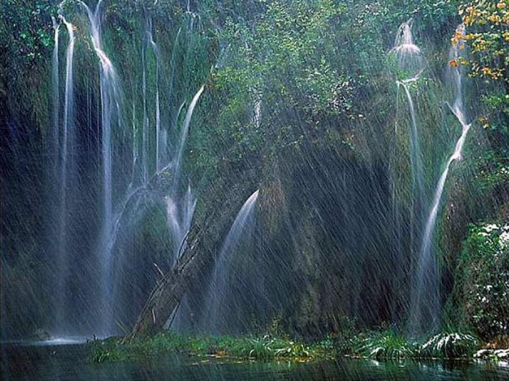 jungle waterfall