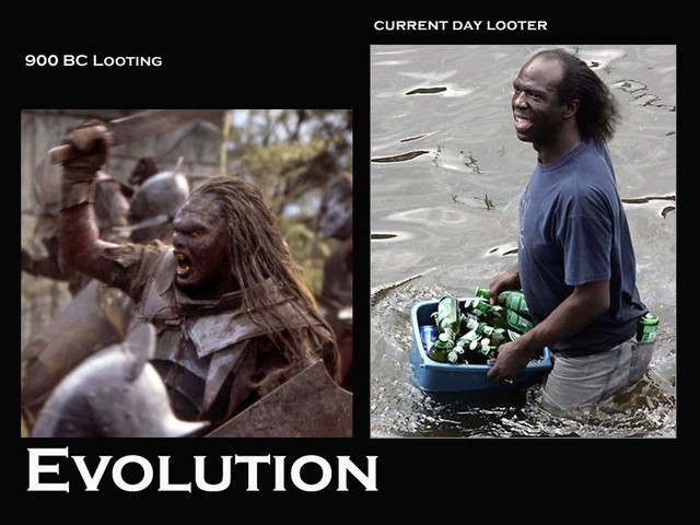 looterEvolution